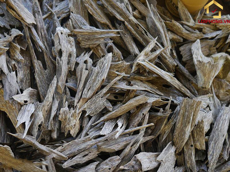 Trầm hương kiến