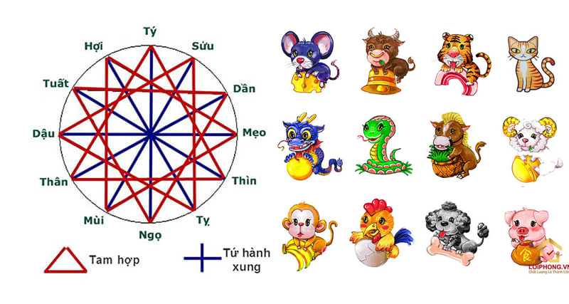 Tứ hành xung là 4 con giáp trong 1 nhóm xung khắc với nhau