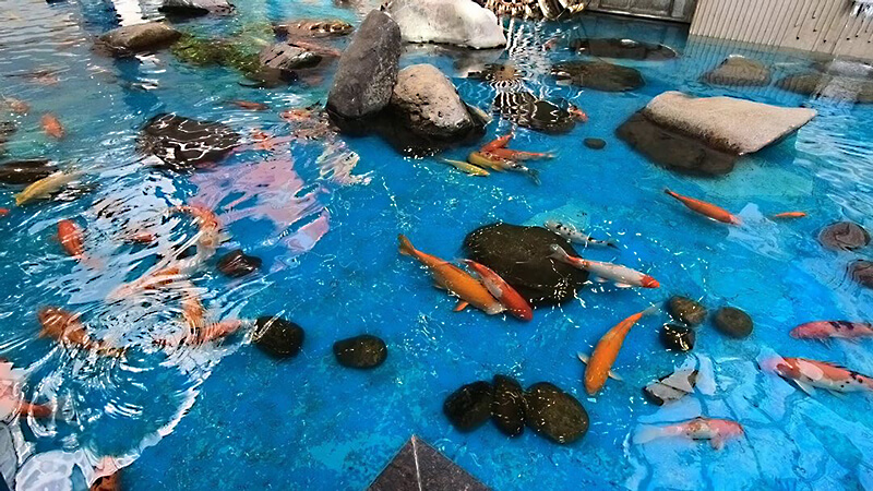 Cách hoá giải xung khắc giữa tuổi Thìn và Tuất là nên đặt thêm biểu tượng thuộc hành Thuỷ ở cổng ra vào