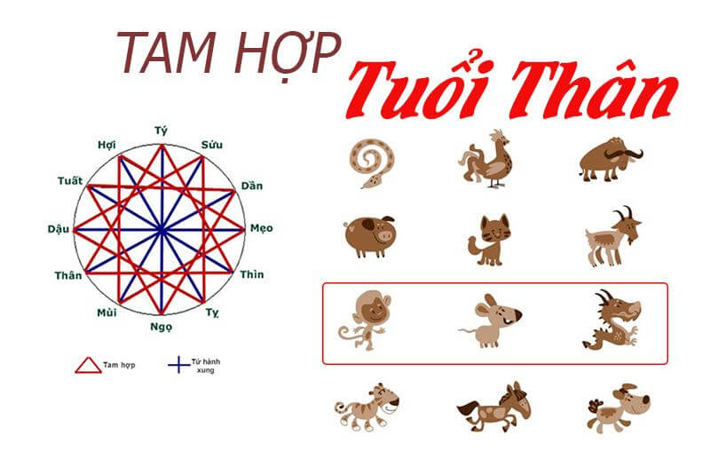 Tam hợp tuổi Thân là Thân - Tý - Thìn