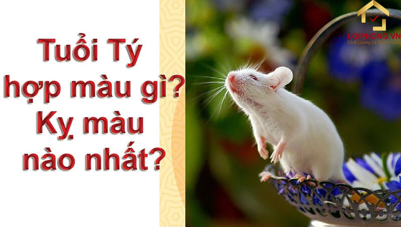 Tuổi tý hợp với những màu nào