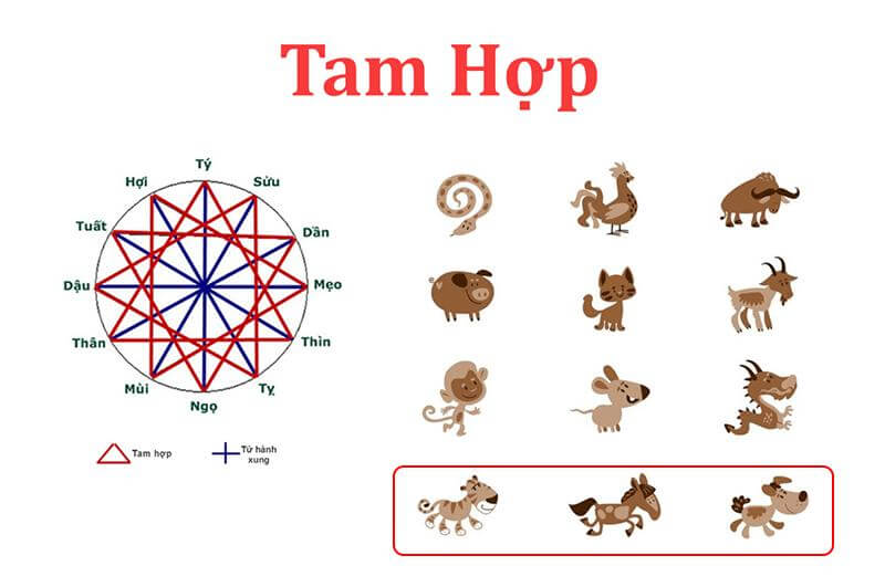 Tam hợp tuổi Tuất có Ngọ - Dần