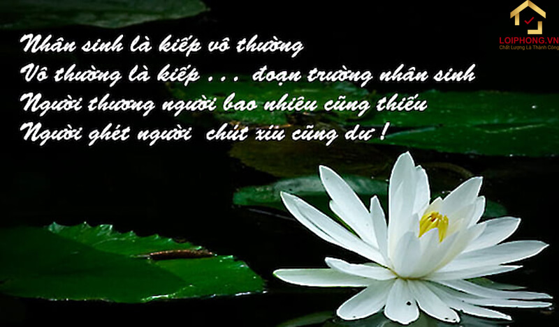 Nhân sinh của mỗi người luôn thay đổi không ngừng