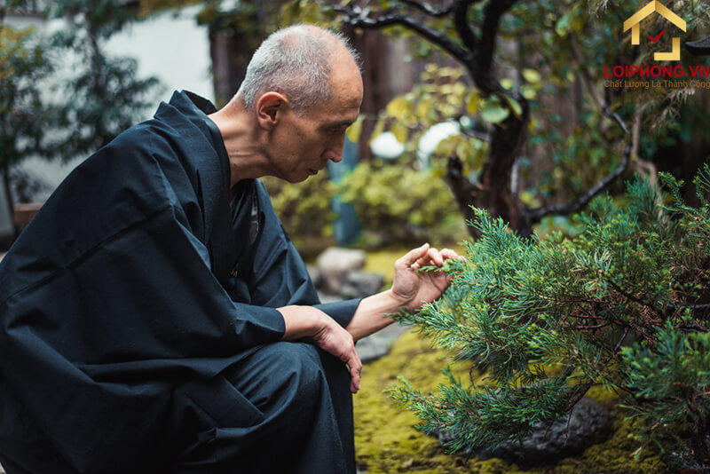 Thực tập quán vô thường mỗi ngày là điều rất quan trọng giúp cho cuộc sống con người tốt hơn