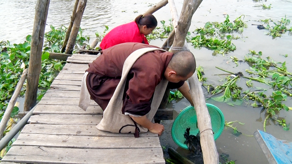 Hoạt động phóng sinh giải thoát động vật.