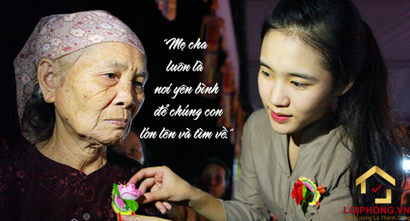 Cài bông hồng trên ngực áo.