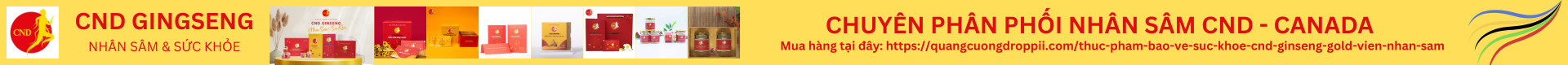 Siêu khuyến mãi giảm giá sốc
