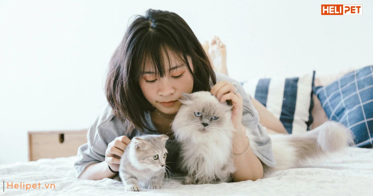 Âm thanh mèo thích