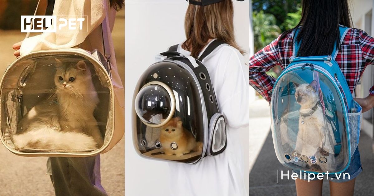 Balo vận chuyển chó mèo