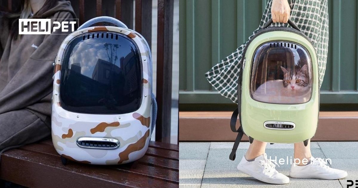 balo Petkit Breezy Dome 2 cho chó mèo