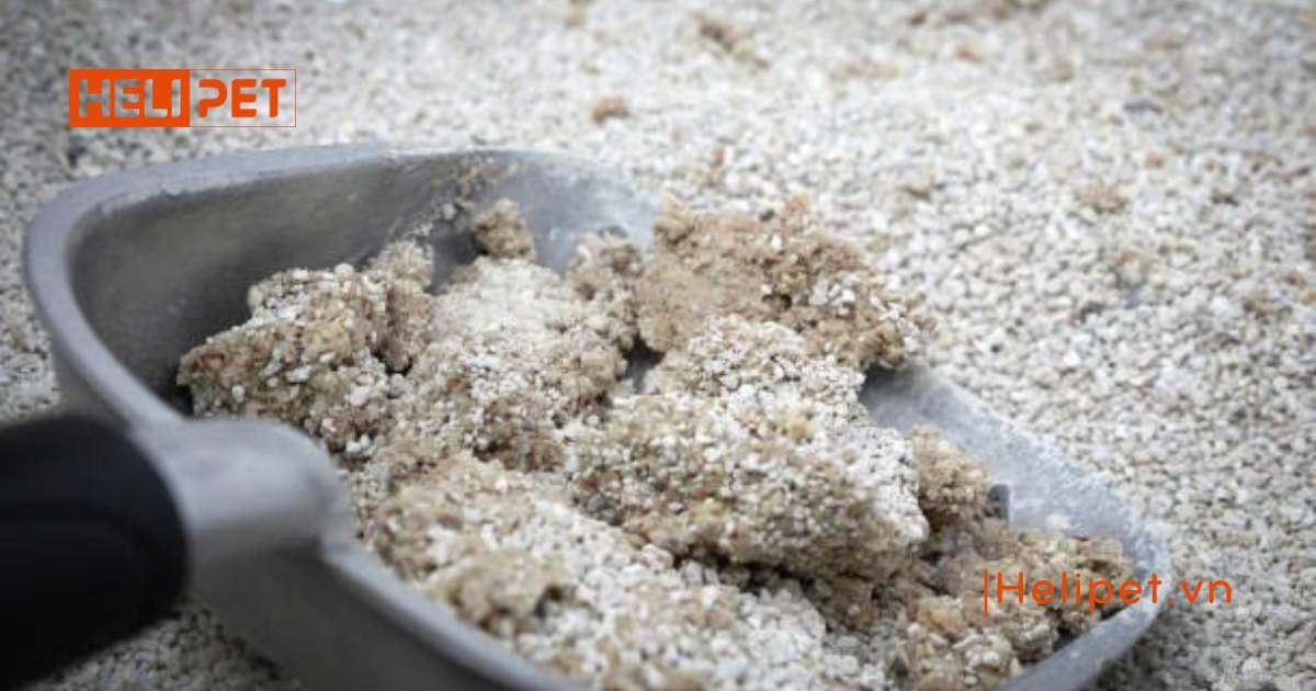 Cát mèo bao lâu thay 1 lần để đảm bảo vệ sinh tốt nhất