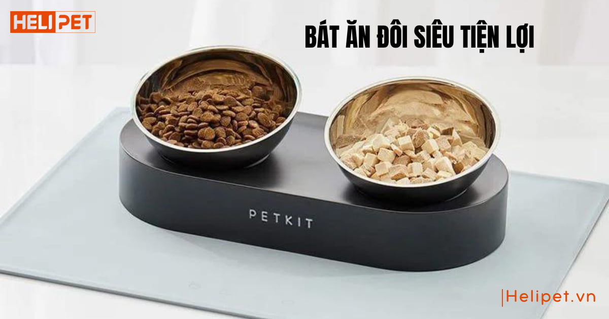 Bát ăn đôi inox chống gù cho chó mèo PETKIT