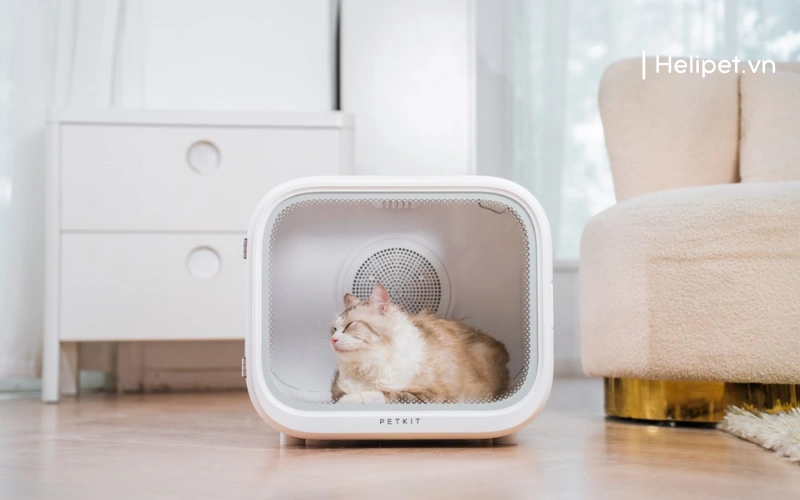 Lồng sấy lông mèo chuyên dụng giúp việc làm khô lông mèo dễ dàng hơn