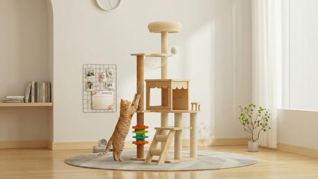 Trụ cào móng dây cối của HeLiPet B36+