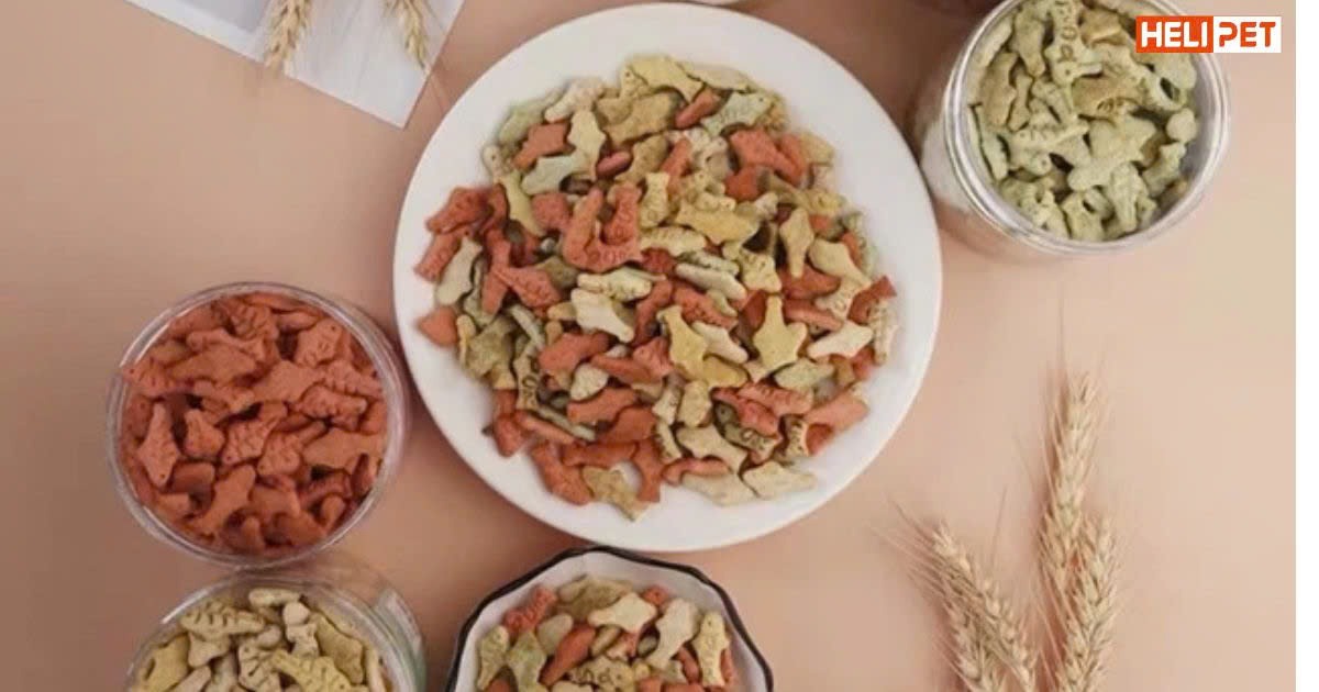 Các cách tiêu búi lông cho mèo mà Sen nên biết