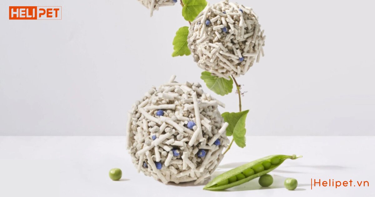 Tất tần tật các loại cát mèo phổ biến tại Việt Nam hiện nay