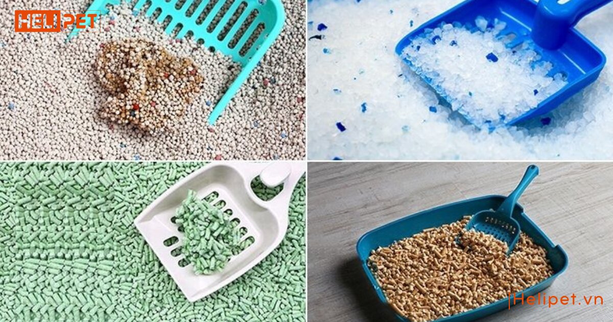 Tất tần tật các loại cát mèo phổ biến tại Việt Nam hiện nay