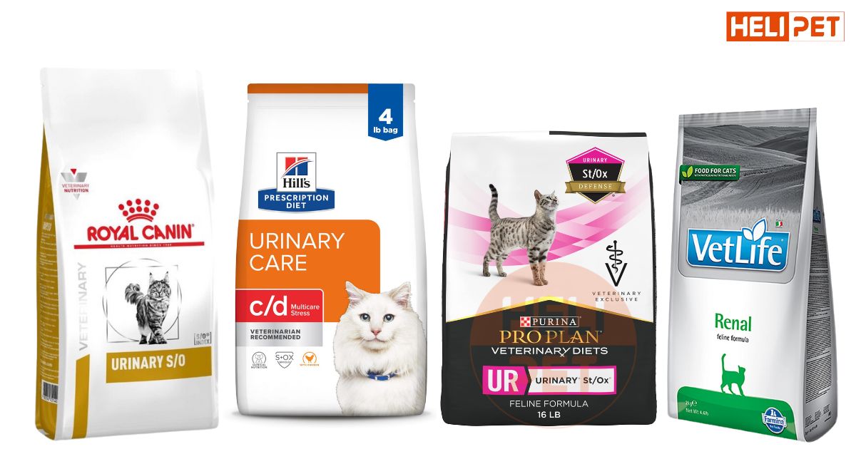 Cách cho mèo ăn hạt không bị sỏi thận