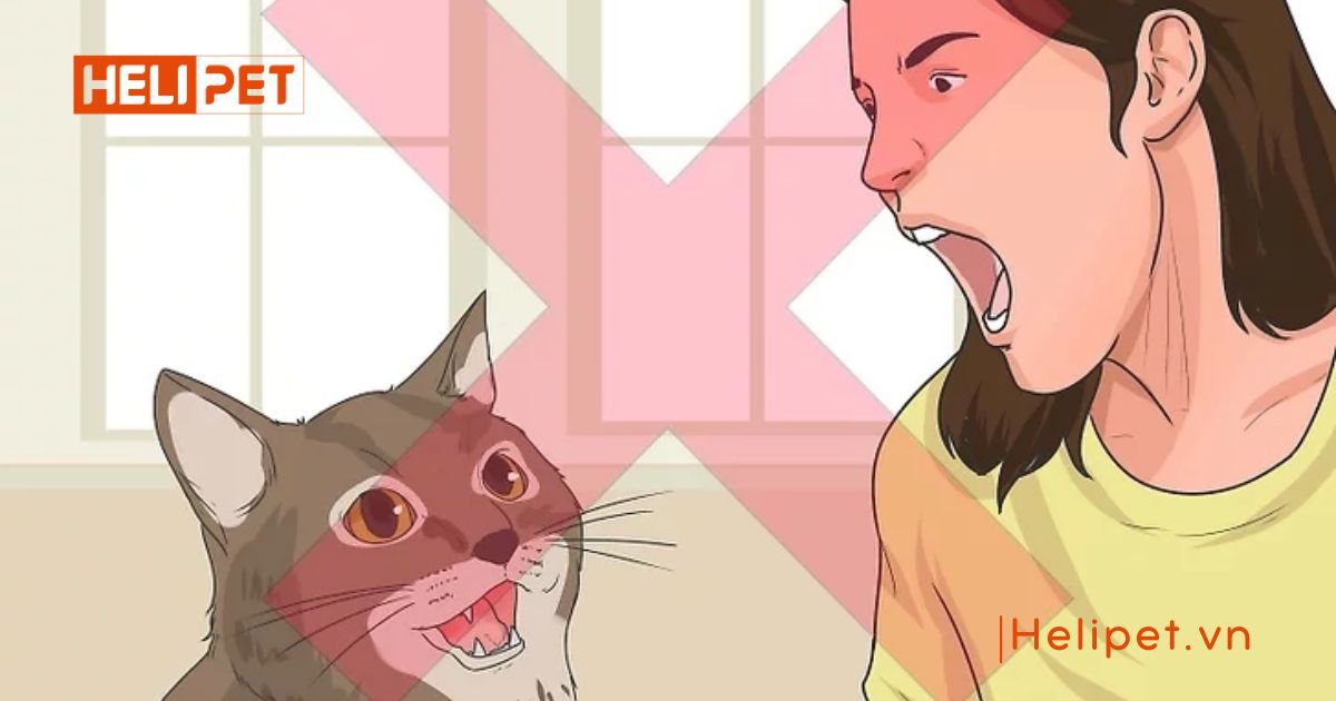 cách cho mèo đi vệ sinh vào cát