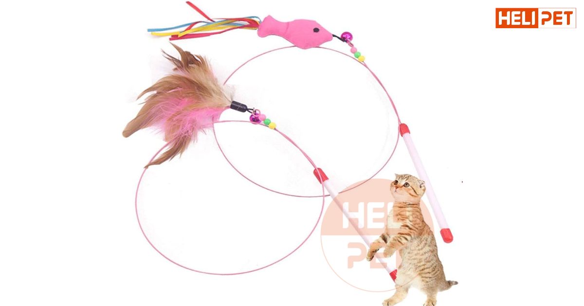 cách làm cần câu cho mèo