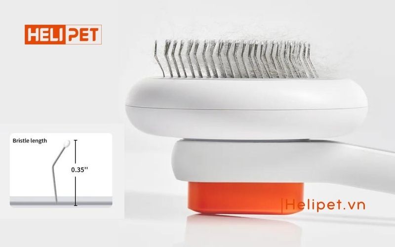 cách trị rụng lông mèo