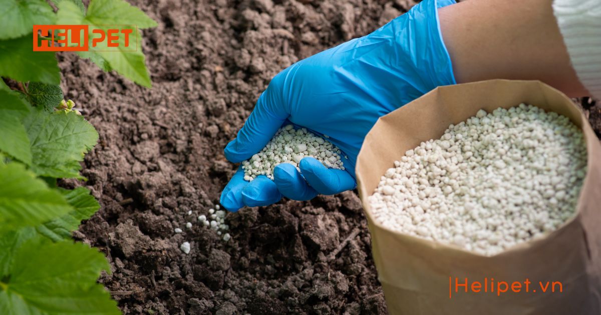 cát mèo có bón cây được không