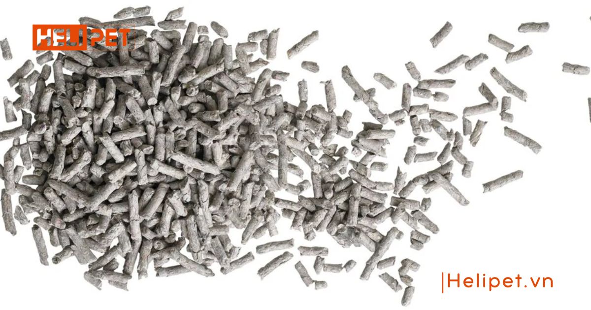 Cát giấy tái chế