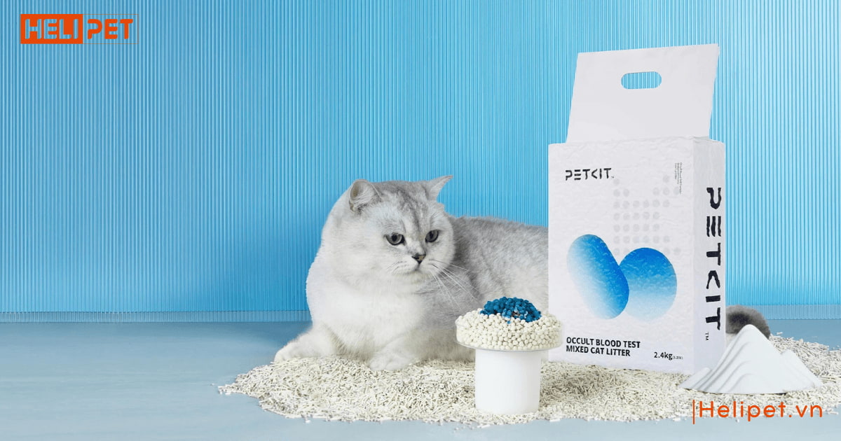 4 loại cát mèo không bụi tốt cho sen và boss