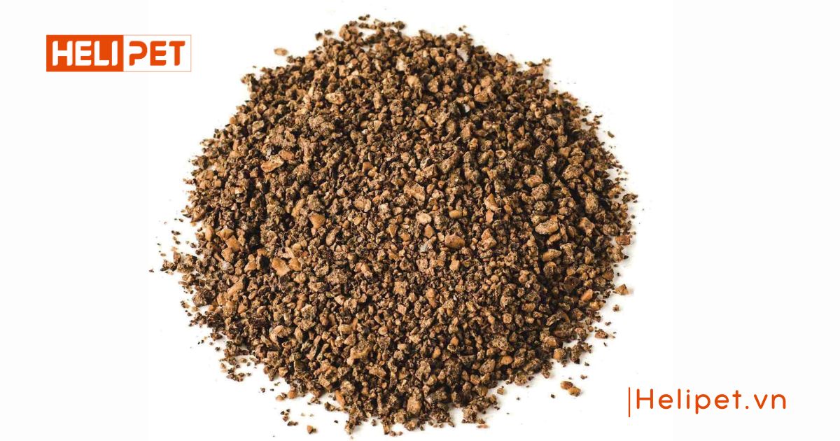 cát mèo loại nào tốt