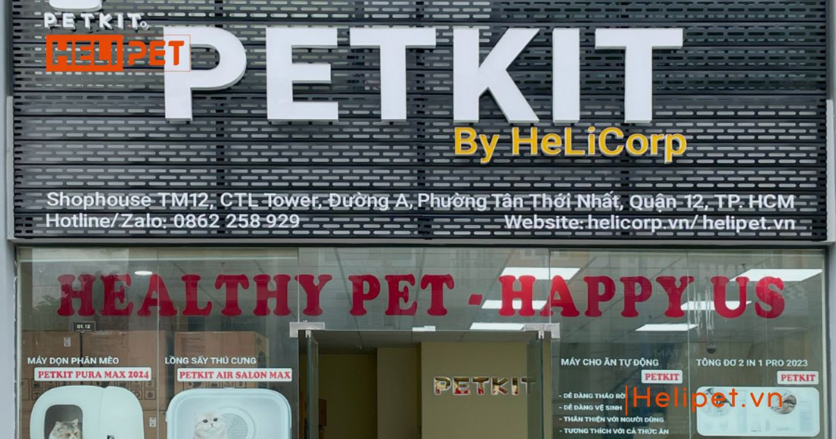 cát mèo loại nào tốt