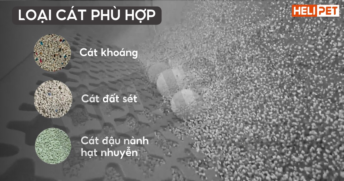 máy dọn phân mèo neakasa m1