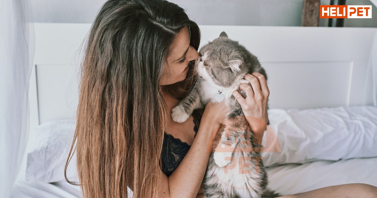 Lỡ tay cắt râu mèo có sao không