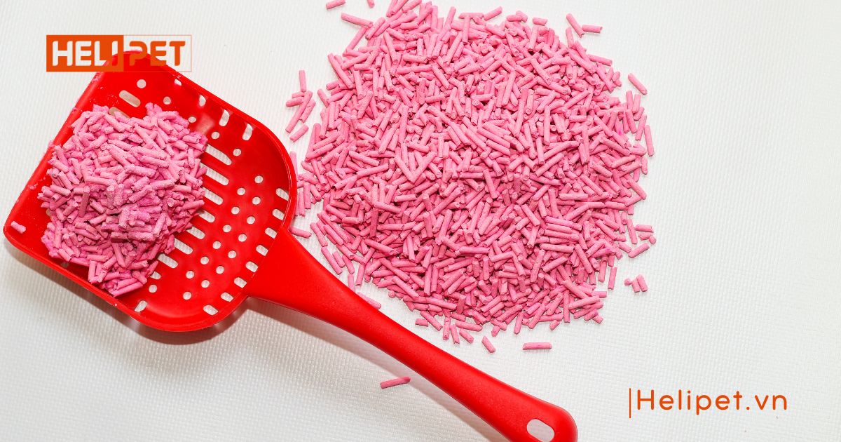 cát vệ sinh cho mèo con