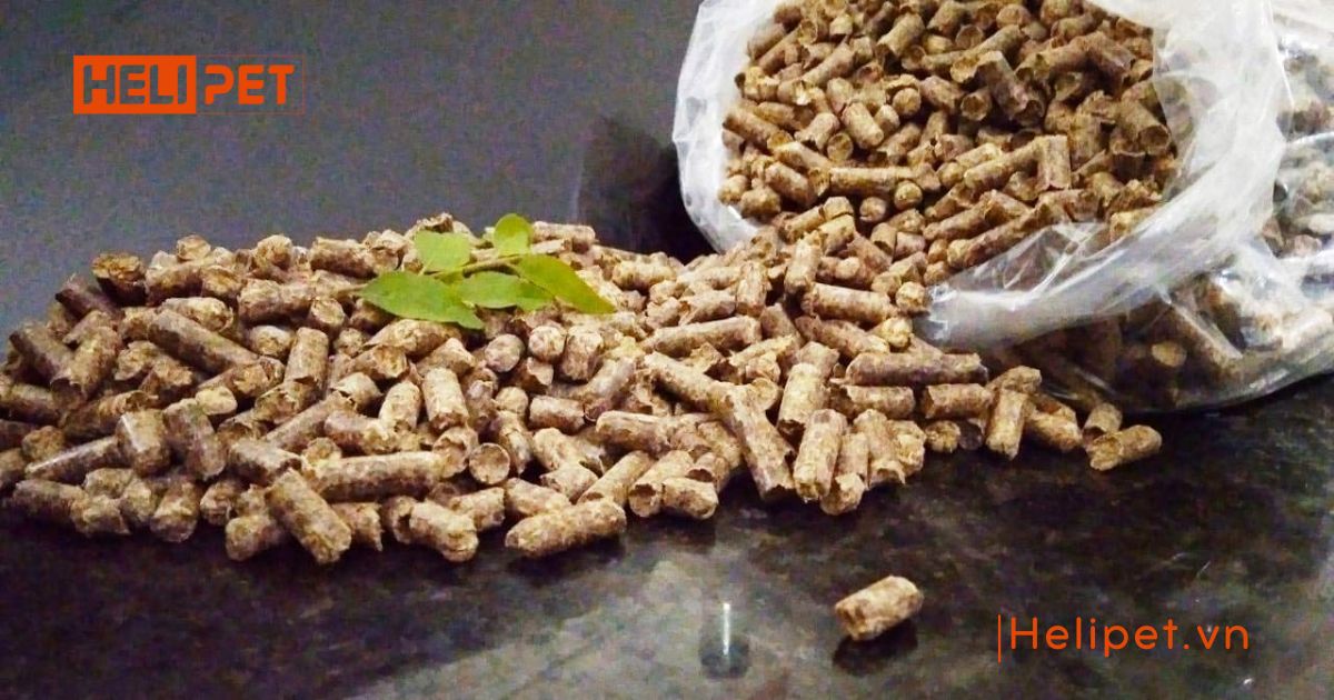 cát vệ sinh cho mèo con