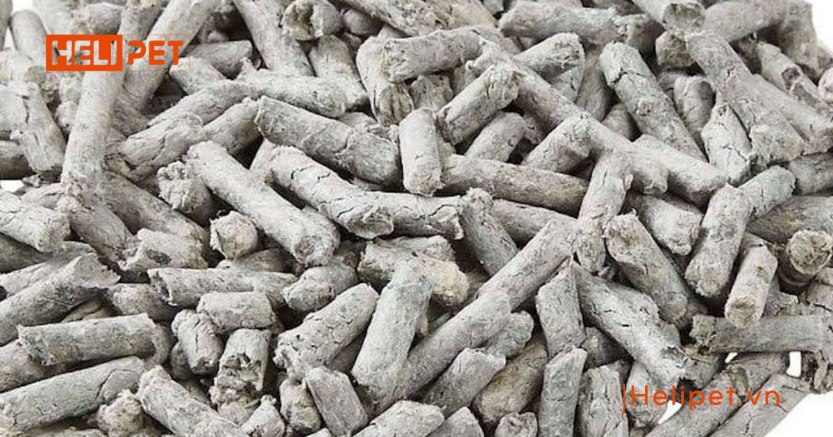 cát vệ sinh cho mèo con