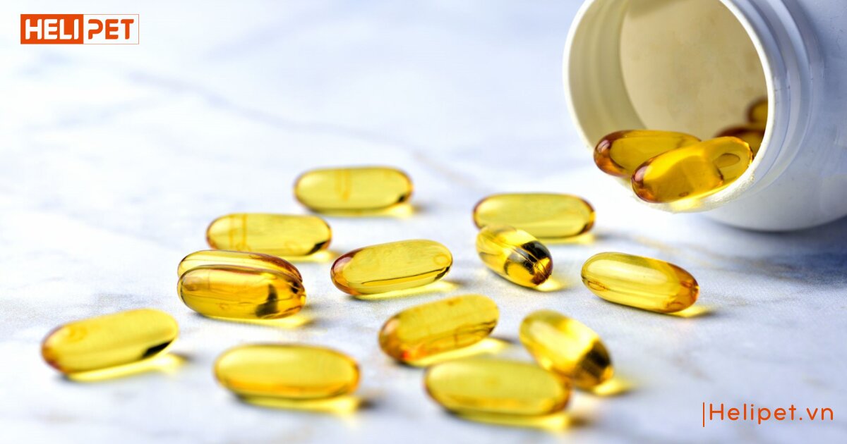 chó ăn dầu cá được không