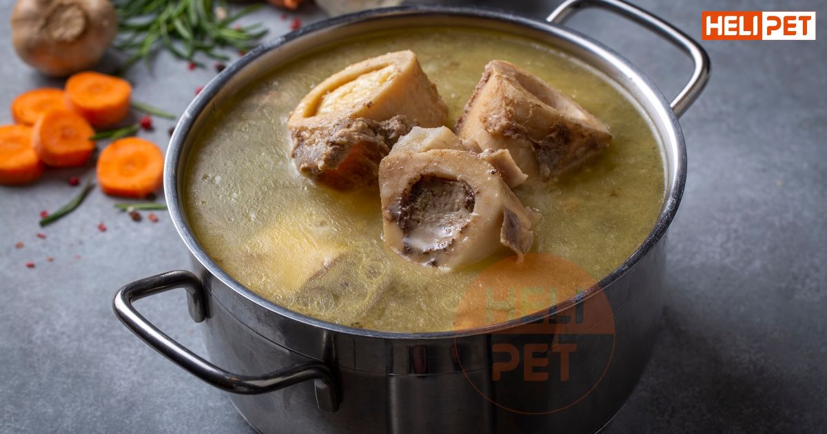 Chó bị gãy chân nên ăn gì