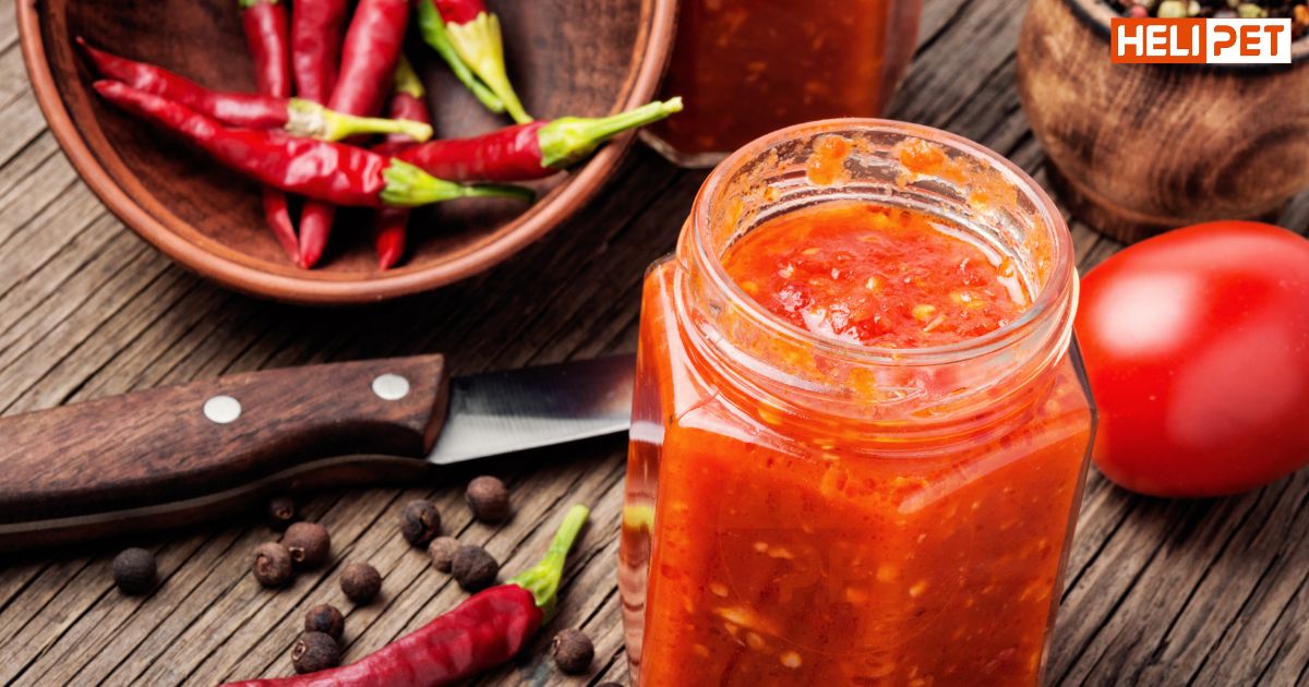 Chó bị gãy chân nên ăn gì