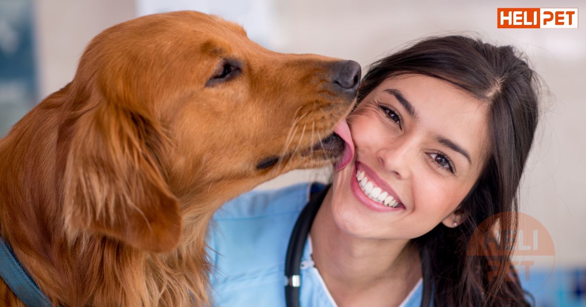 Cho chó uống vitamin E của người được không