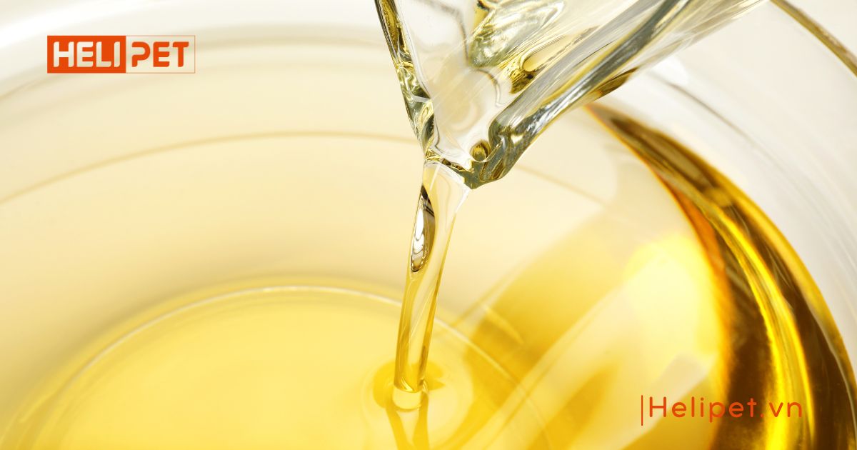 Chó uống dầu cá của người được không