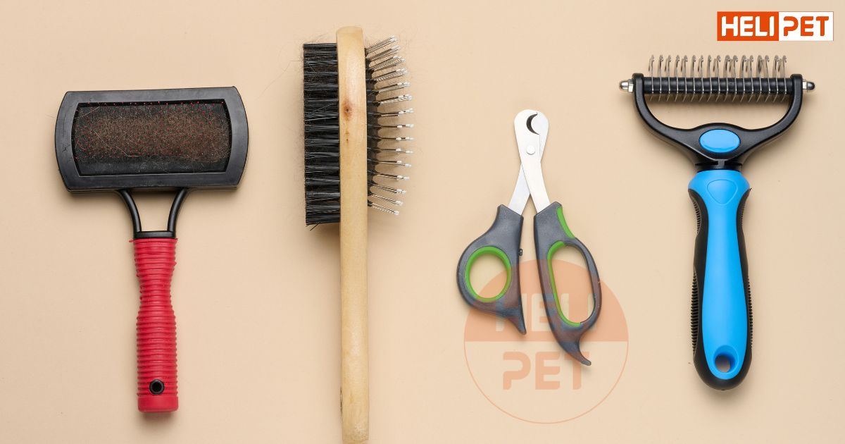 có nên cạo lông mèo không