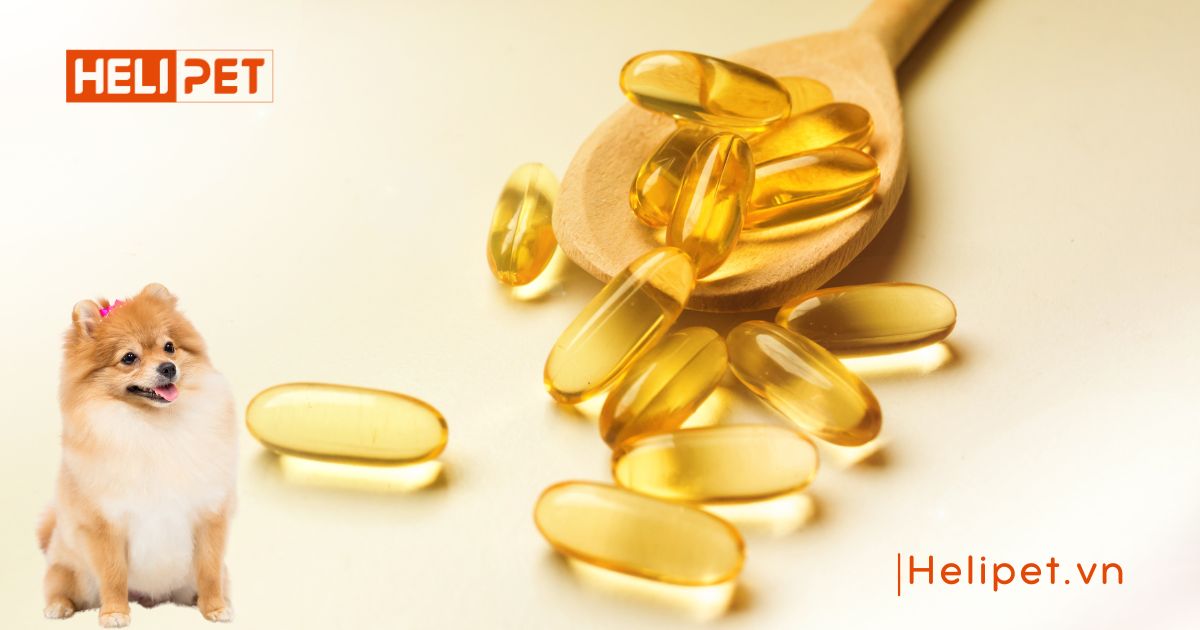 dầu cá cho chó bao nhiêu tiền