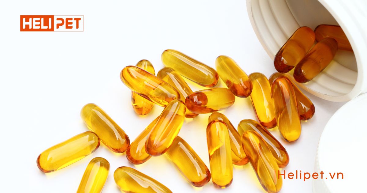 dầu cá cho chó bao nhiêu tiền