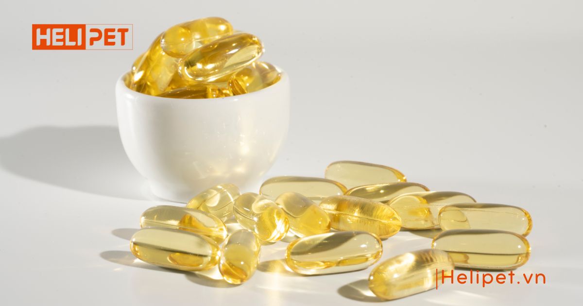 dầu cá cho chó bao nhiêu tiền