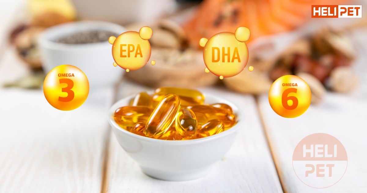 dầu cá cho chó có tác dụng gì