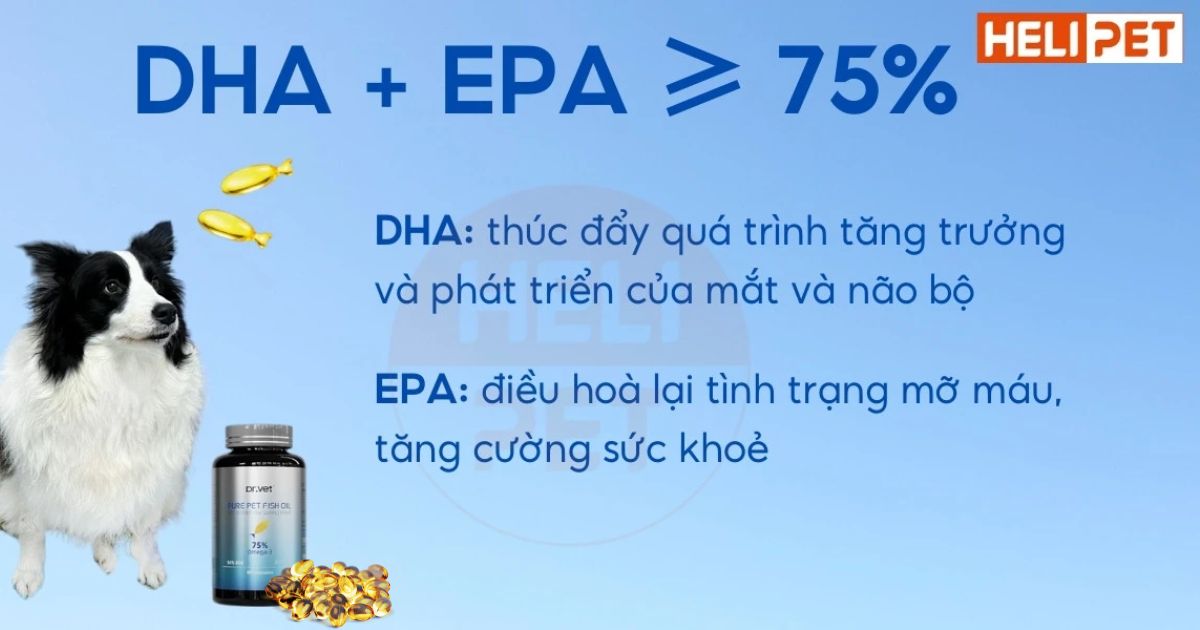 Dầu cá cho chó mèo