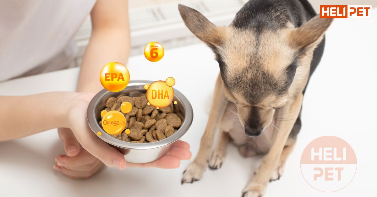 Dầu cá cho chó mèo