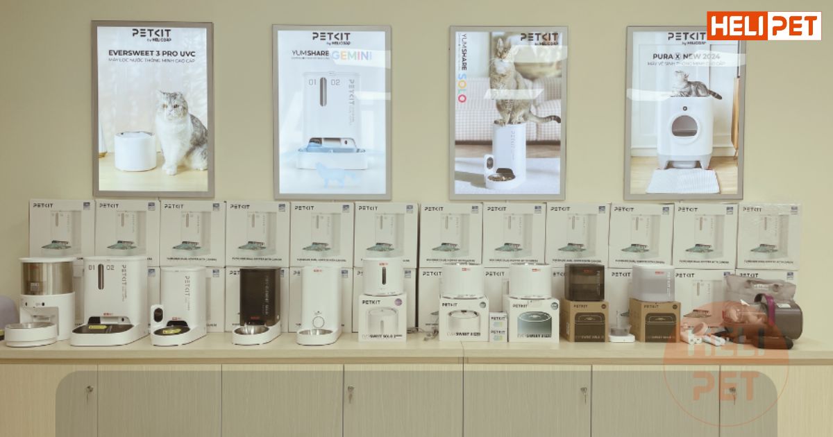 Dầu cá cho chó mèo