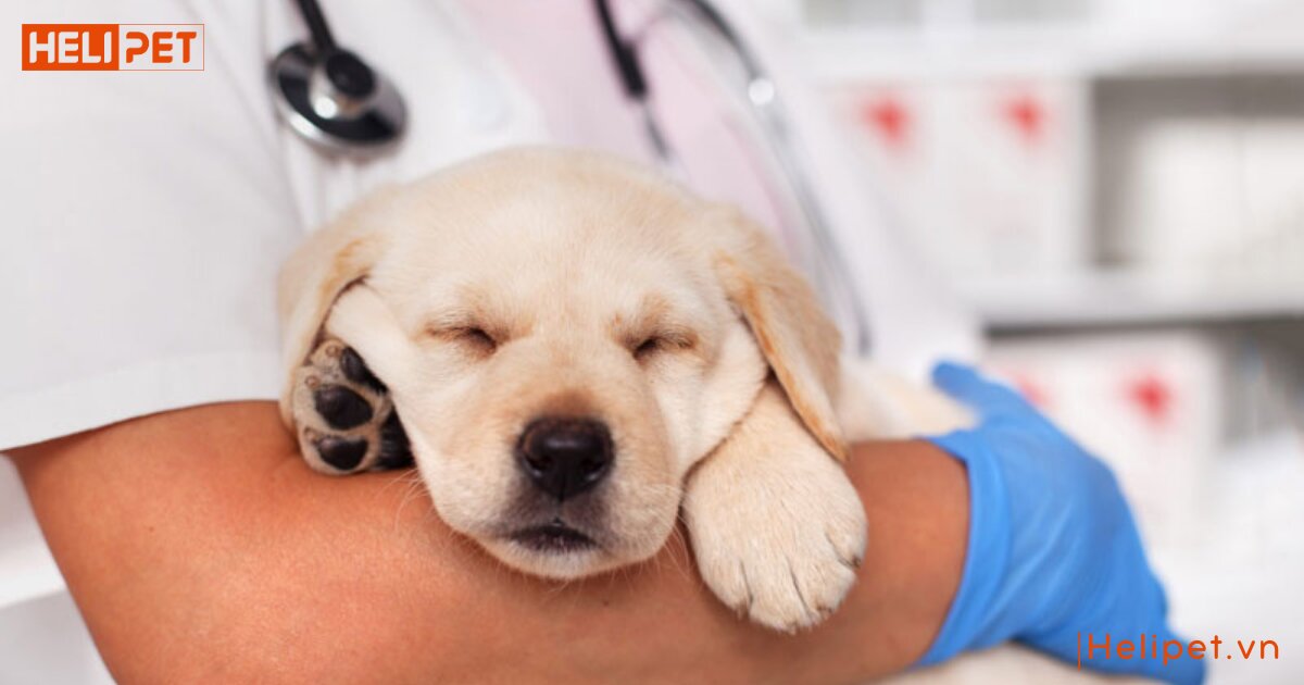 dấu hiệu cho bị viêm tai