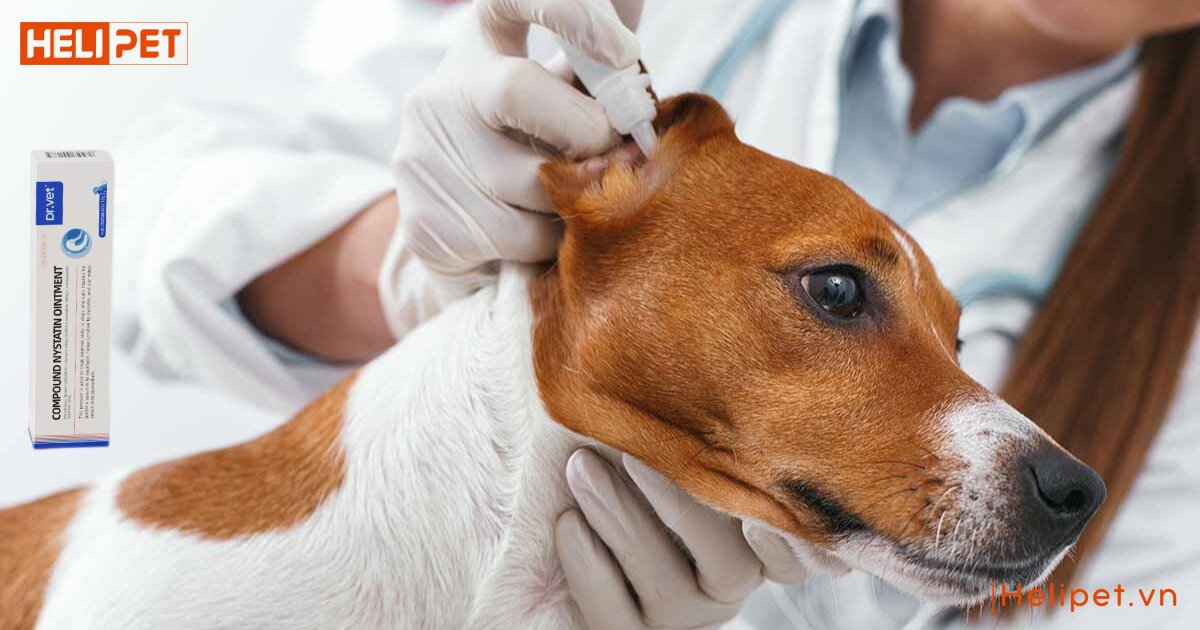 dấu hiệu cho bị viêm tai